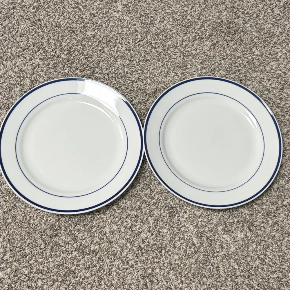 Maître d’ by Oneida dinner plates-2 plates